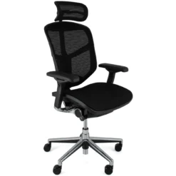 Enjoy Mesh Office Chairs (With Headrest)