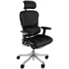 Ergohuman Plus Luxury Leather Office Chair (With Headrest)