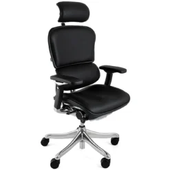 Ergohuman Plus Luxury Leather Office Chair (With Headrest)