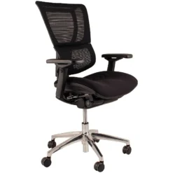 Mirus Ergonomic Mesh Office Chair (Without Headrest)