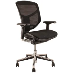 Enjoy Mesh Office Chairs (Without Headrest)