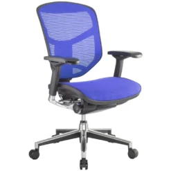 Enjoy Mesh Office Chairs (Without Headrest) 11 Enjoy Mesh Office Chairs (Without Headrest) -Office Chair Sales 029346