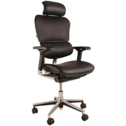 Ergohuman Elite Leather Office Chairs (With Headrest)