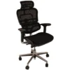 Ergohuman Elite Mesh Office Chairs (With Headrest)