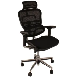 Ergohuman Elite Mesh Office Chairs (With Headrest)