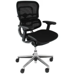 Ergohuman Elite Mesh Office Chairs (Without Headrest)