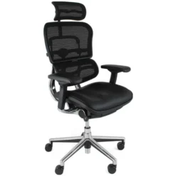 Ergohuman Elite Mesh & Leather Office Chairs (With Headrest)