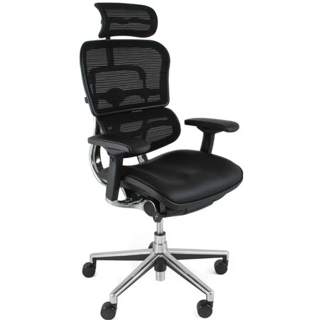 Ergohuman Elite Mesh & Leather Office Chairs (With Headrest) 1 Ergohuman Elite Mesh & Leather Office Chairs (With Headrest)