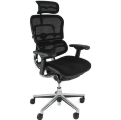 Ergohuman Elite Mesh & Fabric Office Chairs (With Headrest)
