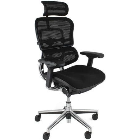 Ergohuman Elite Mesh & Fabric Office Chairs (With Headrest) 1 Ergohuman Elite Mesh & Fabric Office Chairs (With Headrest)