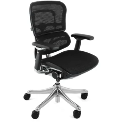 Ergohuman Plus Luxury Mesh Office Chair (Without Headrest)