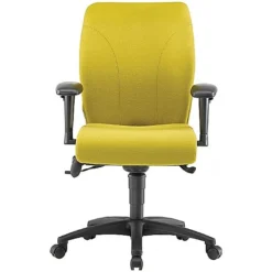 Pledge Ethos Medium Back Posture Chair