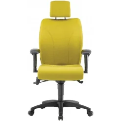 Pledge Ethos Medium Back Posture Chair With Headrest