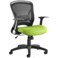 Zest Colours Mesh Task Chair