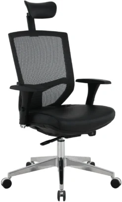 Eve 24/7 Ergonomic Mesh And Leather Task Chair