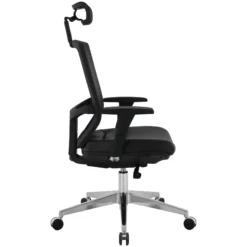 Eve 24/7 Ergonomic Mesh And Leather Task Chair -Office Chair Sales 073946
