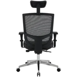 Eve 24/7 Ergonomic Mesh And Leather Task Chair -Office Chair Sales 073947
