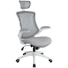Flexi Mesh Office Chairs