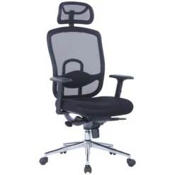 Houston Mesh Task Chair