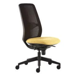 Pledge Eclipse Mesh Back Task Chair
