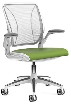 Humanscale Diffrient World Conference Chair