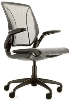 Humanscale Diffrient World Chair