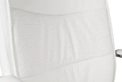 Cumbria Executive Office Chair White -Office Chair Sales 104189