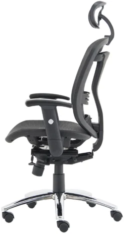 Carinosa II Mesh Office Chair 5 Carinosa II Mesh Office Chair -Office Chair Sales 104325