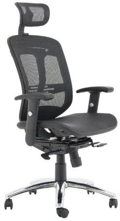 Carinosa II Mesh Office Chair