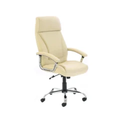 Prospect Executive Office Chair