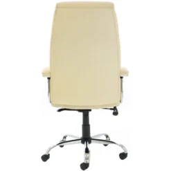 Prospect Executive Office Chair -Office Chair Sales 105803