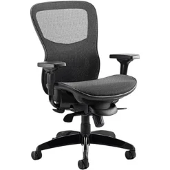 Raptor Mesh And Fabric Office Chair