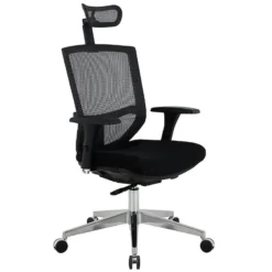 Eve 24/7 Ergonomic Mesh & Fabric Task Chair