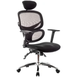 Desire Ergonomic Mesh Office Chair With Headrest