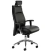 Summit Essence Executive Leather Chair With Headrest